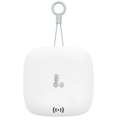 Codepoint CS1060 - Temperature & Humidity SensorCodepoint CS1060 - Temperature & Humidity Sensor